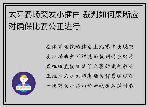 太阳赛场突发小插曲 裁判如何果断应对确保比赛公正进行