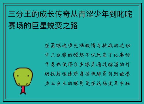 三分王的成长传奇从青涩少年到叱咤赛场的巨星蜕变之路 三分王的成长传奇从青涩少年到叱咤赛场的巨星蜕变之路