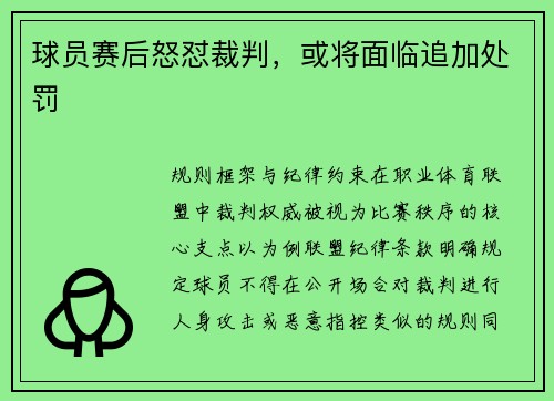 球员赛后怒怼裁判，或将面临追加处罚